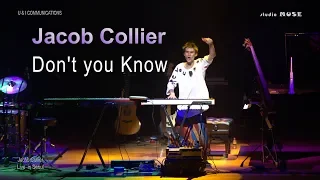 Jacob Collier - Don't you know(Live in Seoul)