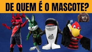 Adivinhe todos os mascotes de times brasileiros ! quiz de Futebol🤩