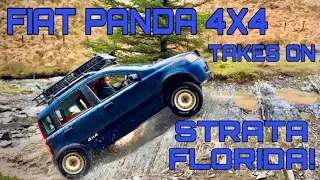 Fiat Panda 4X4 Takes On Strata Florida