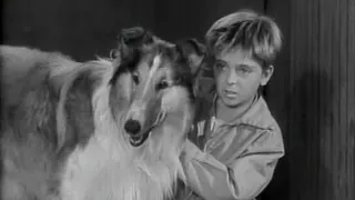 Lassie  S01e17  Runaways