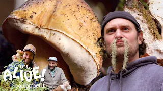 Brad Forages for Porcini Mushrooms | It's Alive | Bon Appétit