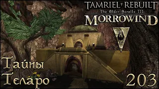 Morrowind Tamriel Rebuilt - Гробница даэдропоклонников, 141 (203)