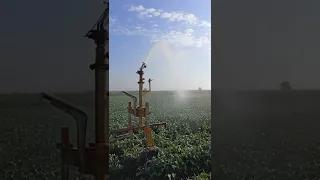 Irrigation 2022,Deronje-Serbia