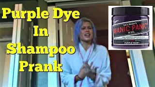 PURPLE DYE IN SHAMPOO PRANK - Top Boyfriend and Girlfriend Pranks