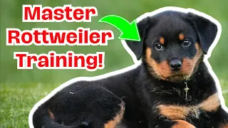 Ultimate Rottweiler Training Guide: Tips & Tricks for a Happy, Obedient Pup!