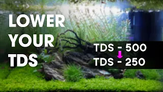How to lower TDS in an Aquarium | Lowering Aquarium TDS the easy way.
