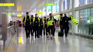 HEATHROW AIRPORT (UK) SNIFFER DOG