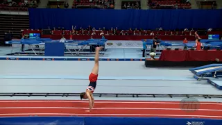 WILLERTON Kristof (GBR) - 2017 Trampoline Worlds, Sofia (BUL) - Qualification Tumbling Routine 1