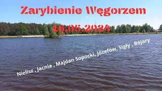 Zarybienie Węgorzem - Nielisz , Jacnia , Majdan Sopocki, Józefów, Sigły , Bojary