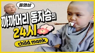 child monk 24 hours