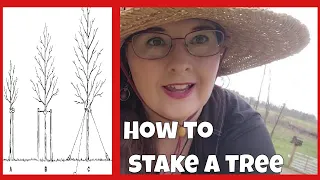 How to Properly Stake Your New Trees