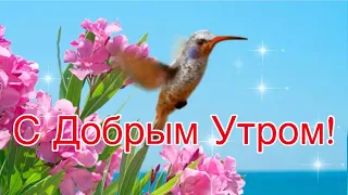 С Добрым Утром!🌺Хорошего Дня и Отличного Настроения! Сергей Чекалин!Музыкальная Открытка Пожелание!