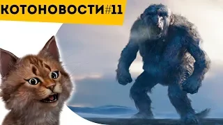 КОТОНОВОСТИ [11] ТРОЛЛЬ ТЕБЯ НЕ ПРОПУСТИТ, ЕСЛИ ТЫ НЕ СДЕЛАЕШЬ ЭТОГО | И #ФАКТЫ, КОТОРЫЕ НАДО ЗНАТЬ