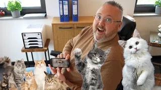 Katzenvideos und Bauplaner Hermann Pleis im Haus!