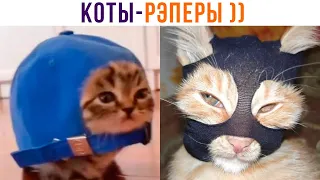 КОТЫ-РЭПЕРЫ ))) Приколы с котами | Мемозг 1263