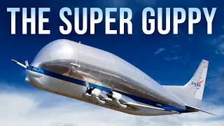 You won’t Believe the Story of the Amazing Super Guppy!!