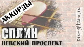 Сплин Невский проспект аккорды 🎸 кавер табы как играть на гитаре | pro-gitaru.ru