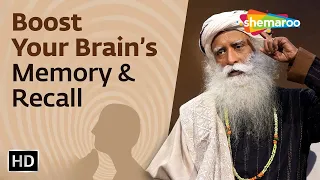 Learn How To Improve Your Brain’s Memory & Recall | Sadhguru Exclusive | Shemaroo Spiritual Life