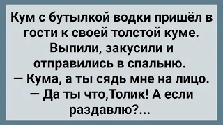 Толстая Кума Села Куму на Лицо! Сборник Свежих Анекдотов! Юмор!