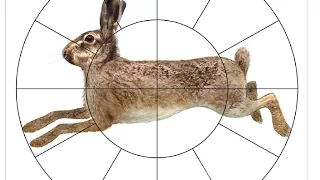 Отстрел класического патрона на зайца/Неожиданный результат /Охота и рыбалка UA