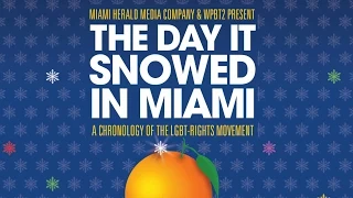 The Day It Snowed In Miami (2014)