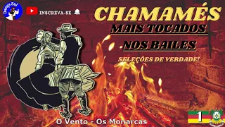 MELHORES SELEÇÔES DAS MÚSICAS GAUCHESCAS 🚨 RITMO CHAMAMÉ! 🚨