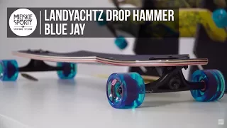 Longboard Landyachtz Drop Hammer Blue Jay | Prezentacja | MiejskieSporty.pl