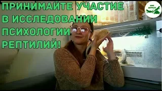 Принимайте участие в исследовании психологии рептилий!