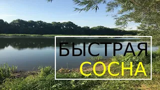 Рыбалка в Липецкой области.  Река Быстрая Сосна.