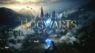 Hogwarts Legacy проходим решаем головоломки и общаемся  №3 #Hogwarts #Хогвартс #Гари