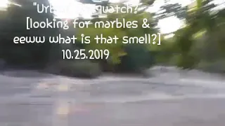 "Urban" Sasquatch? [looking for marbles & eeww what is that smell?] 10.25.2019