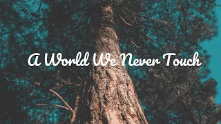 A WORLD WE NEVER TOUCH || LYRICS