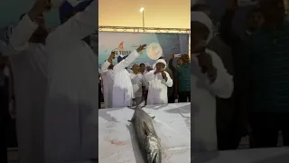 All Tayar team | UAE FISHING