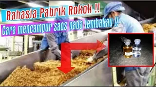 Rahasia Pabrik Rokok !!! Tips Mencampur Saos Tembakau