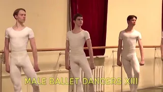 MALE BALLET DANCERS XIII - COFL