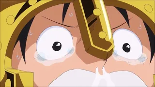 Mr. Forgettable | One Piece