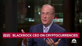 BlackRock CEO Larry Fink: Bitcoin ETF approvals are 'stepping stones' towards tokenization