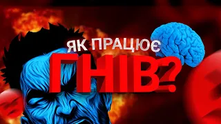 ЯК та ЧОМУ виникає ГНІВ  | що відбувається у мозку | емоції та психологія