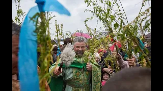 Проповідь з нагоди свята Входу Господнього в Єрусалим (Вербна неділя). 12 квітня 2020 року