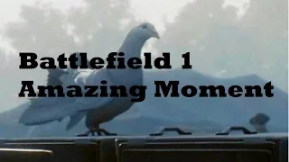 Battlefield 1 Campaign - PIGEON SAVES ME!!!