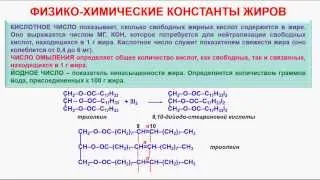 № 121. Органическая химия. Тема 20. Жиры. Часть 9. Физико-химические константы жиров