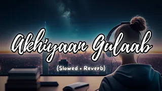 Akhiyaan Gulaab Lofi (Slowed + Reverb) | Instgram Viral Song.