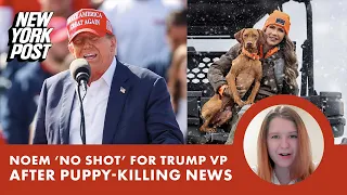 Kristi Noem has ‘no shot’ as Trump’s VP pick after puppy-killing controversy: sources