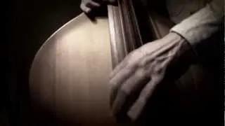 WILLIE DIXON'S SOLO