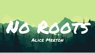No Roots - Alice Merton | Lyrics | MrText