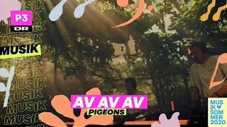 Av av av 'Pigeons' | Musiksommer på P3