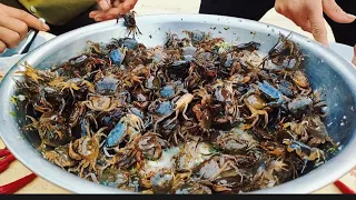 Ăn gỏi Cua Sống | Go To The Deep Forest To Catch Crab And Eat Alive