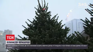 Незаконно вирубані дерева: київська влада закликає не купувати ялинки на стихійних ринках