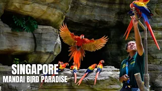 Singapore Mandai Bird Paradise Grand Opening (Asia's Largest Bird Park)