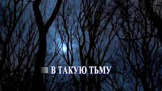 С Трофимов -В такую тьму- караоке